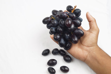 Black Grapes Image , Nashik , Maharashtra , India , Black Grapes With White Backgroundの写真素材