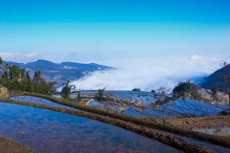 China Yunnan Province Yuanyangtitian sceneryの写真素材