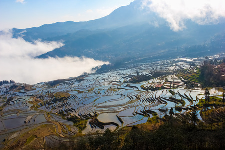 China Yunnan Terrace sceneryの写真素材
