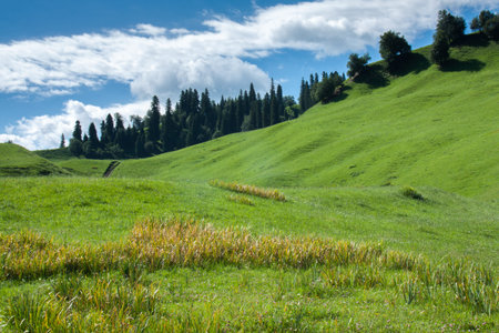 Xinjiang yili Prairie natural sceneryの写真素材