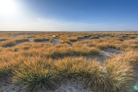 Natural scenery of Gobi, Dunhuang Province, Gansu Province, Chinaの写真素材