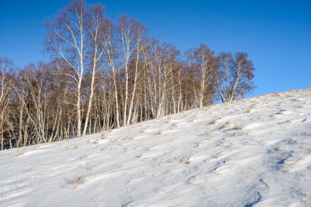 Inner Mongolia Chifeng City, Hexigten Banner China Ulan Buh winter grassland sceneryの写真素材