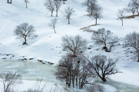 Inner Mongolia Chifeng City, winter grassland scenery