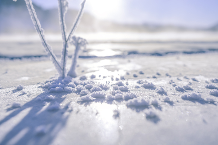 Ice crystals on a frozen surfaceの写真素材