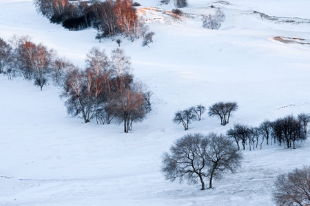 Inner Mongolia Chifeng City, Hexigten Banner China Ulan Buh winter grassland scenery