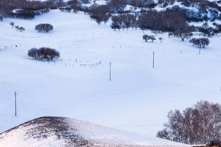 Winter sceneryの写真素材