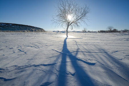 China Inner Mongolia grassland scenery in winterの写真素材