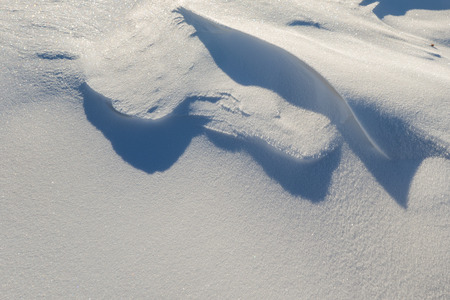 Snow covered groundの写真素材