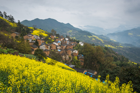 Village on a mountain with rapeseed farmの写真素材