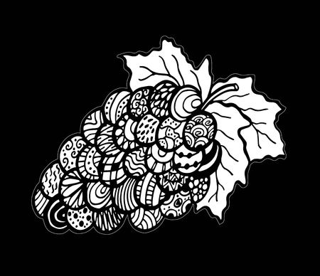 Grape fruits, zen art. Hand-drawn, doodle, vector illustrationのイラスト素材