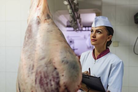 Meat quality control in butchery.の写真素材