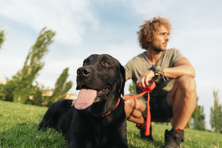 Man having fun and playing with his dog in the park.の写真素材
