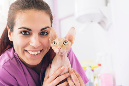 Veterinarian doctor hugging a little cat. Veterinary Concept.