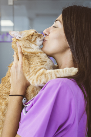 Veterinarian doctor kissing a little cat. Veterinary Concept.の写真素材