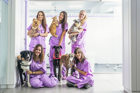Cheerful women team veterinary holding her pets. Veterinary Concept.の写真素材