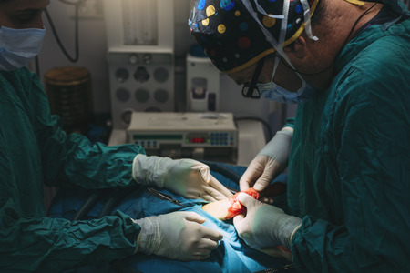 Team of Surgeons Operating in the Hospital. Surgery Concept.の写真素材