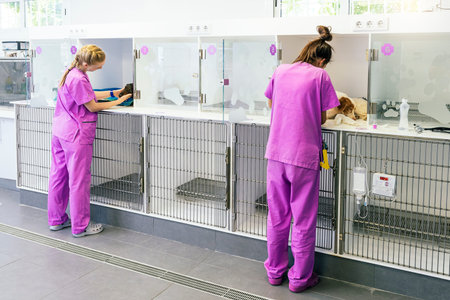 Veterinarian doctors are making a check up of a cute illness dogs. Veterinary Concept.の写真素材