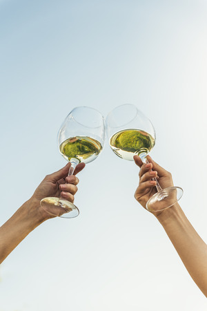 Female friends cheers clinking glasses of white wine in hands in the park.の写真素材