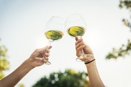 Female friends cheers clinking glasses of white wine in hands in the park.の写真素材