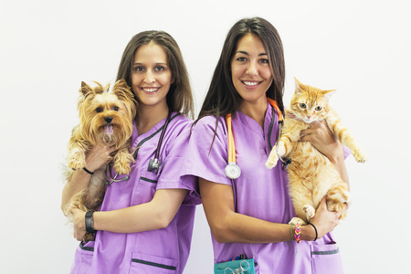 Cheerful women veterinary holding her pets. Veterinary Concept.の写真素材