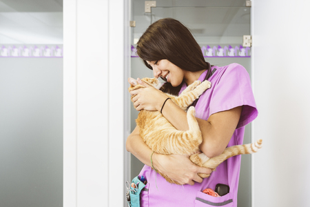 Veterinarian doctor hugging a little cat. Veterinary Concept.の写真素材