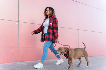 Smiley black woman with curly hair walking her dog in the street and having fun.の写真素材