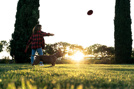 Purebred dog playing with her owner and having fun in the park during the evening.の写真素材