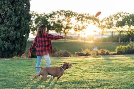 Unrecognized woman playing with her dog with a frisbee in the park.の写真素材