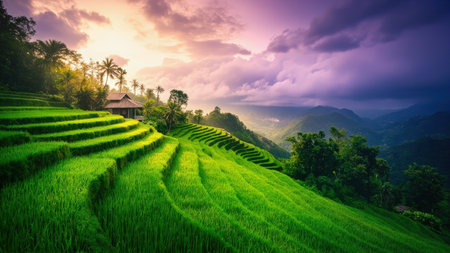Experience the breathtaking beauty of Bali with this stunning image. The photograph showcases vibrant rice terraces cascading down a hillside, framed by a dramatic sunset sky filled with colorful clouds. A charming traditional house nestles amongst the lush green paddy fields, creating an idyllic scenery that embodies the serene spirit of Indonesia. This landscape is perfect for travel brochures, websites, or any project seeking to capture the natural beauty and tropical charm of a popular tourism destination.の素材