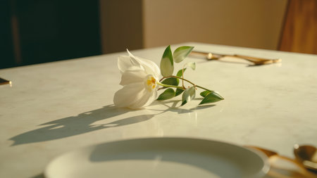 White orchid with green leaves on a marble surface, plate and golden cutlery, natural light and shadows.の素材