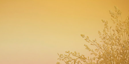 Dry grass on blurred orange background with copy space. Nature backgroundの素材
