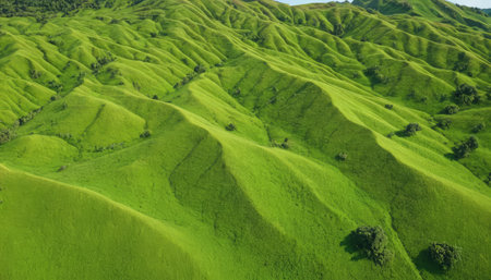 Green hills in south korea,Dongdeok\\"\"\""の素材