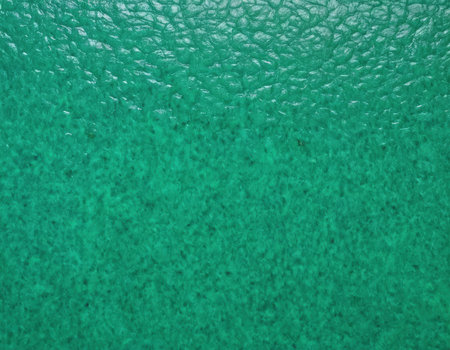 Close-up of green textured background. High resolution photo.の素材