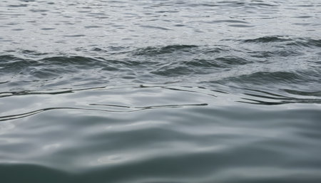 Texture of the surface of the water in the sea, close-upの素材
