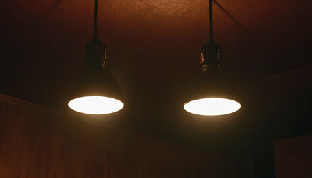 Ceiling light bulbs in a dark room with wooden walls.の素材