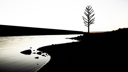A stark, high-contrast silhouette of a bare tree stands on a rocky shore next to a calm river. The scene is captured at dusk or dawn, with the sky a bright white and the land and water rendered in deep black. The water reflects the dark landscape, creating a minimalist and atmospheric composition.の素材