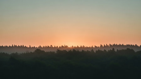 (3096) showing forest horizon at sunset. High resolution image suitable for commercial use. Clear details and vibrant colors enhance visual appeal.の素材