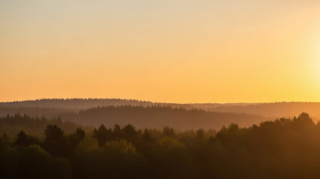 Sunset showing sunset over misty forest hills. High resolution image suitable for commercial use. Clear details and vibrant colors enhance visual appeal.の素材