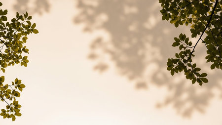 Green tree branches with leaves are positioned in the upper left and upper right corners against a bright, light background. The leaves cast soft, dappled shadows that create an organic pattern across the surface. The image evokes a sense of natural light and outdoor serenity.の素材