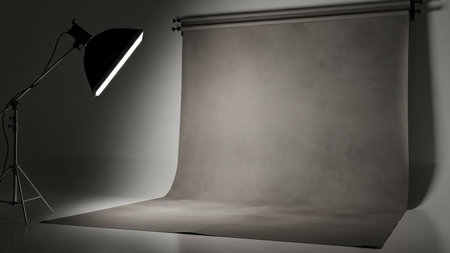 A photography studio with a gray seamless backdrop and a professional lighting setup featuring a softbox light on a stand.の素材