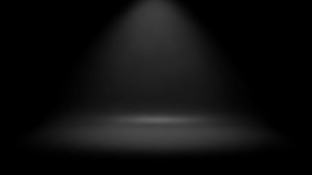 (4539) showing dark studio spotlight background. High resolution image suitable for commercial use.の素材