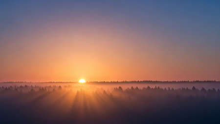 A breathtaking sunrise over a misty forest. Golden sunbeams pierce through the fog, illuminating the tree silhouettes and creating a magical, serene atmosphere.の素材