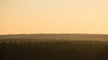 A layered landscape of a misty forest with silhouetted pine trees against a soft golden sunset sky, creating a serene and atmospheric view.の素材
