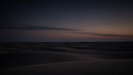 Desert showing dark desert sand dunes at dusk with a muted sky. High resolution image suitable for commercial use.の素材