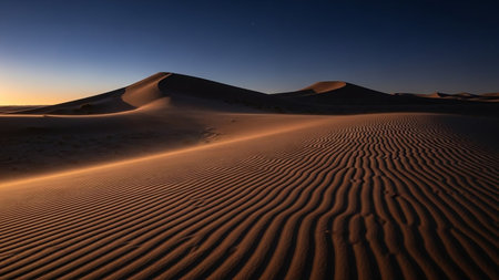 Serene showing golden desert sand dunes illuminated by setting sun with rippled texture and clear blue sky keywords: desert, sand dunes, sand, landscape, nature, arid, dry, sand ripples,...の素材
