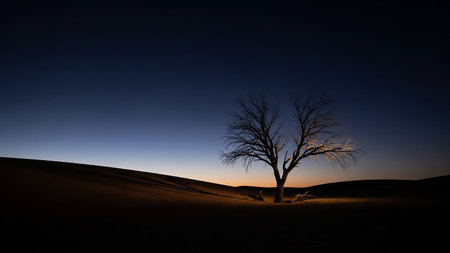 A solitary bare tree is silhouetted against a dark gradient sky during twilight in a desert landscape.の素材