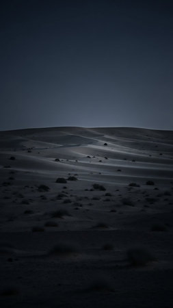Rolling dark desert dunes stretch towards a deep blue night sky with sparse, low-lying vegetation casting subtle shadows across the sand.の素材