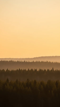 A serene landscape of layered evergreen forests fading into the distance, set against a soft, warm orange sky during sunset or sunrise.の素材