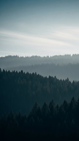 Layers of dark green pine trees receding into a misty, foggy mountain landscape, creating a deep, atmospheric, and tranquil natural scene.の素材