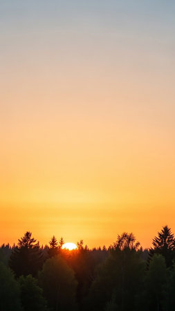 A dense line of dark trees silhouetted against a vibrant gradient of orange and yellow in the sky during sunset or sunrise.の素材